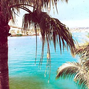 Meet your Posher, Sophia